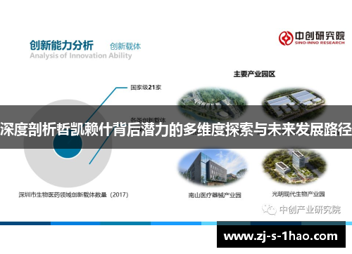 深度剖析哲凯赖什背后潜力的多维度探索与未来发展路径